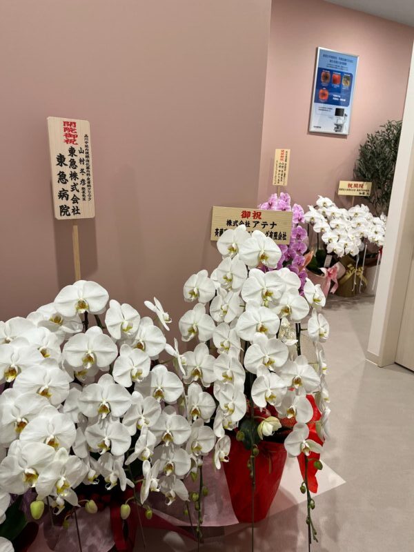 開院して1週間が経ちました。
